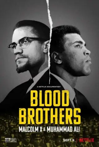 Blood Brothers: Malcolm X
