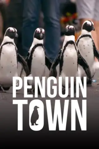 Ville de Penguin