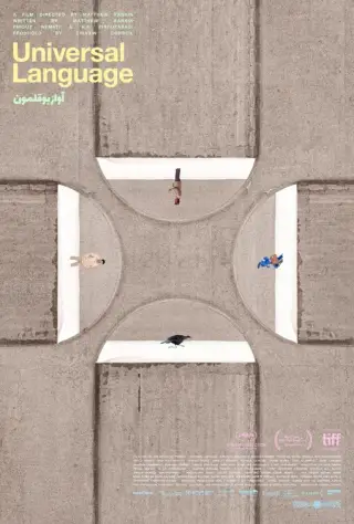 সর্বজনীন ভাষা