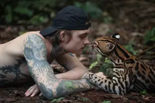 వైల్డ్‌క్యాట్