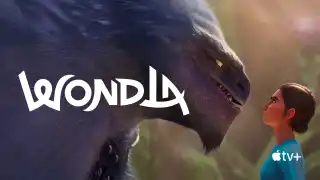 ਫੀਡ