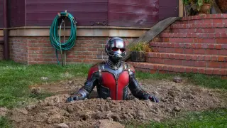 Every Ant-Man Movie Ranked