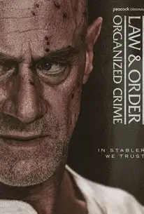 Law & Order: Organisierte Kriminalität