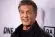 Sylvester Stallone