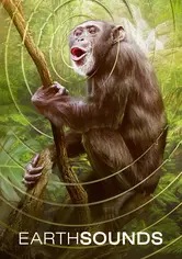 பூம்சவுண்ட்ஸ்