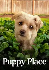 Puppy Place