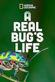 A Real Bug's Life Season 1