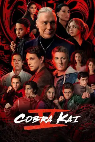 Cobra Kai Staffel 6 (Teil 3)