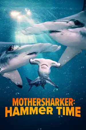 Mothersharker: Tiempo de martillo