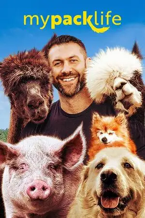 Моя стая Жизнь