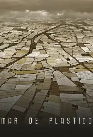 প্লাস্টিক সমুদ্র