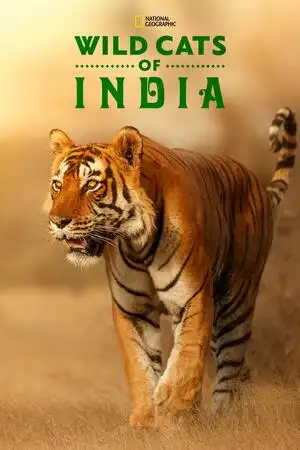 Wilde Katzen Indiens