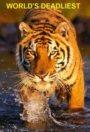 Dünyanın en ölümcül