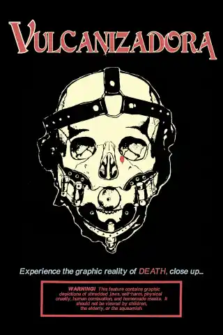 వల్కనైజర్